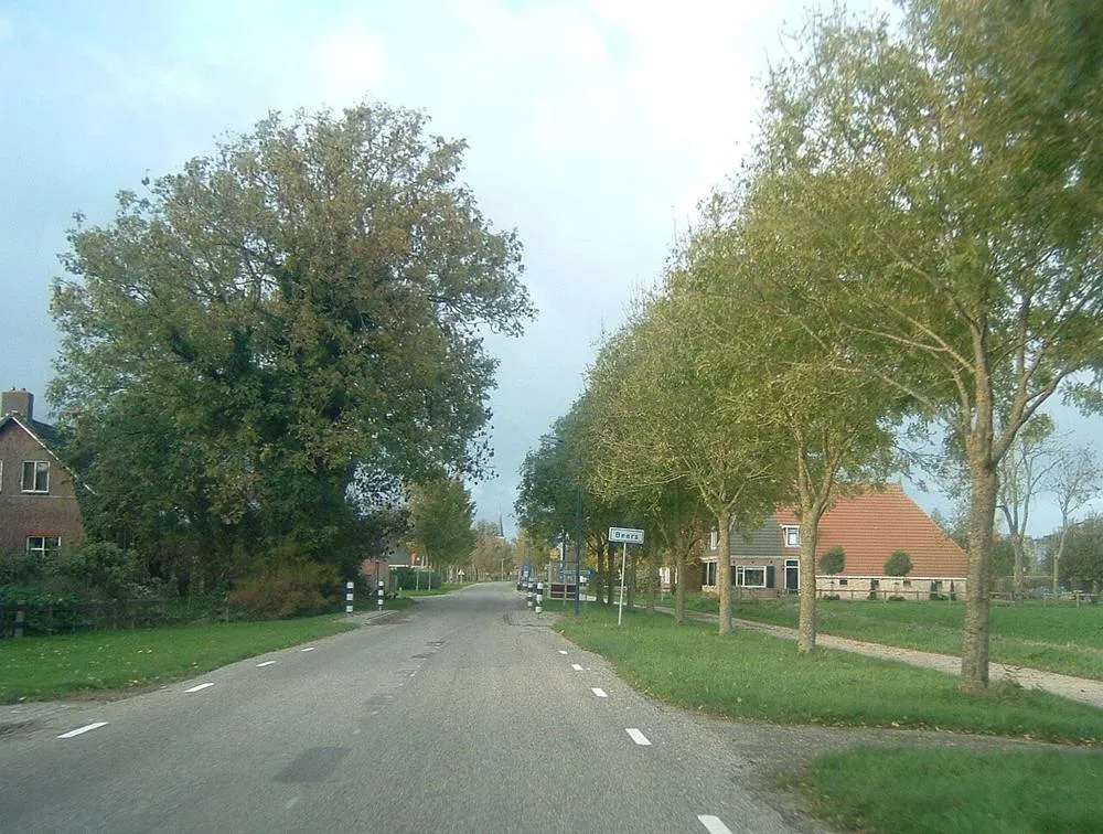 Bears: Bears-Friesland